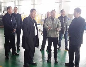 安徽省蚌埠市各领导参观考察慧驰轻合金